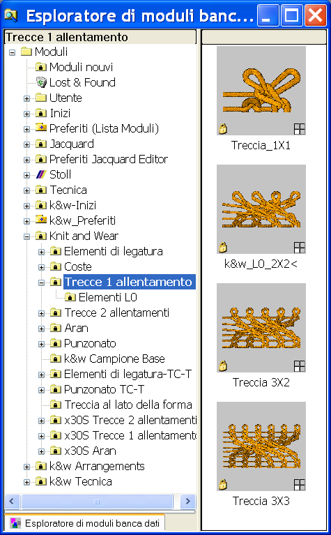 Esploratore di moduli